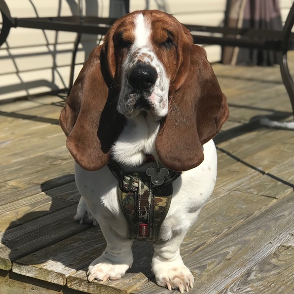 Meet your Posher, Jordynne - Picture 1 of 1